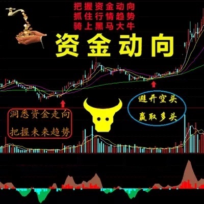 资金动向指标/主力资 金流向/TDX分析公式