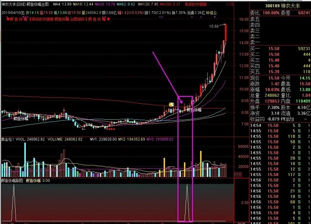 鳄鱼张嘴.webp (1).jpg