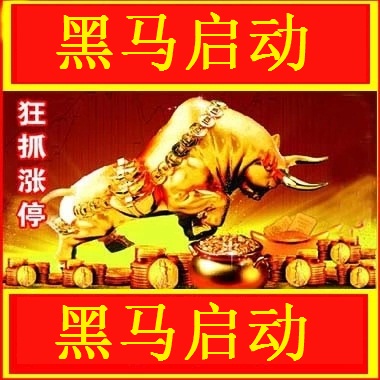 涨停敢死队战法/短线技术黑马启动涨停软件系统预警