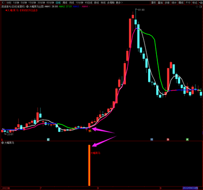 大嘴黑马系统 自动预警选股 段线波段抓涨停看盘分析指标公式操盘