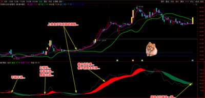 通达信蝉月摘花指标 助力去抓波段牛